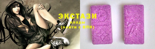СК Алексин