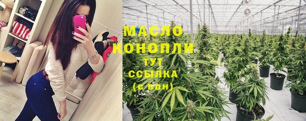 СК Алексин