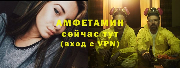 СК Алексин