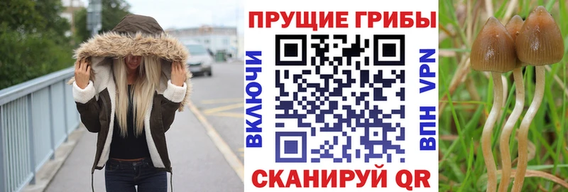 Галлюциногенные грибы Magic Shrooms Опочка